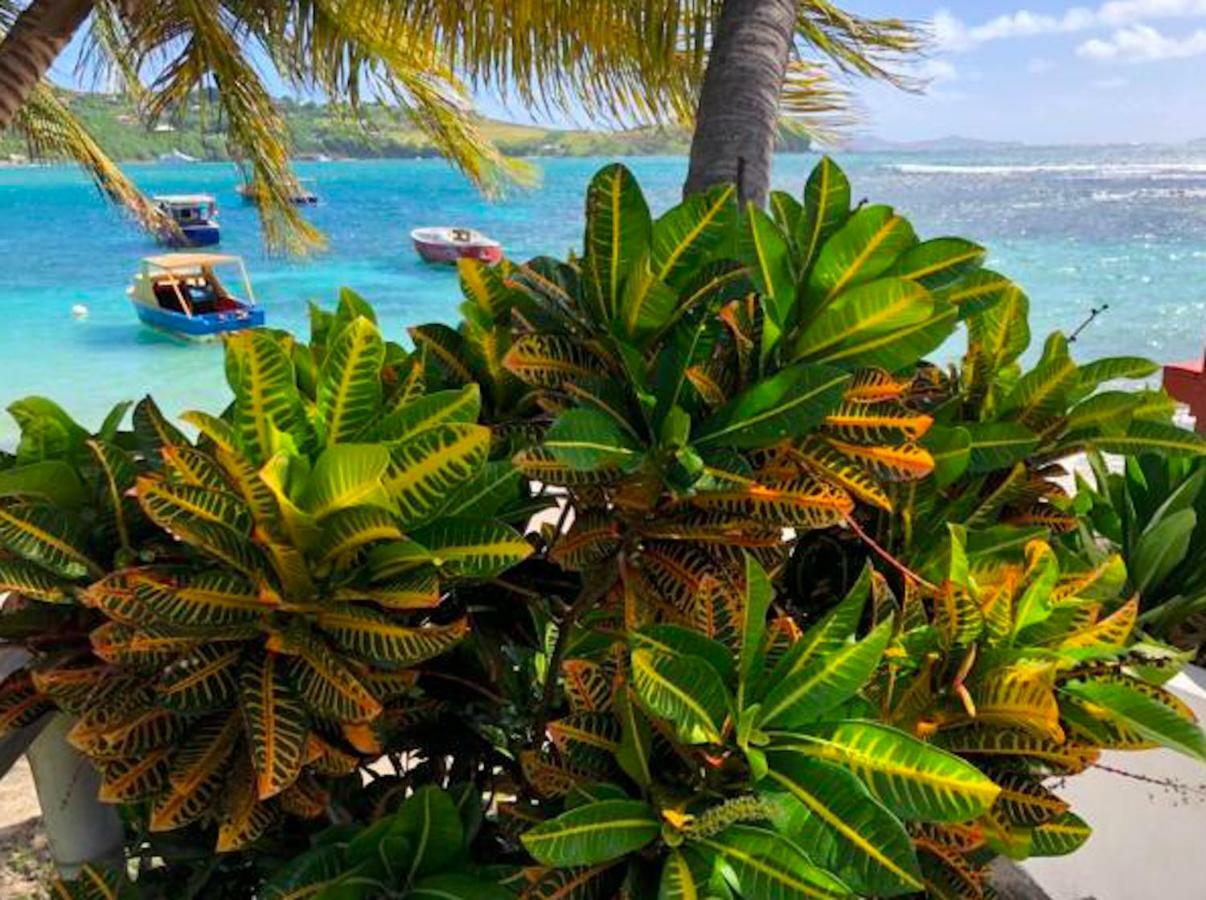 Bequia Beachfront Villa Hotel Friendship Exterior foto